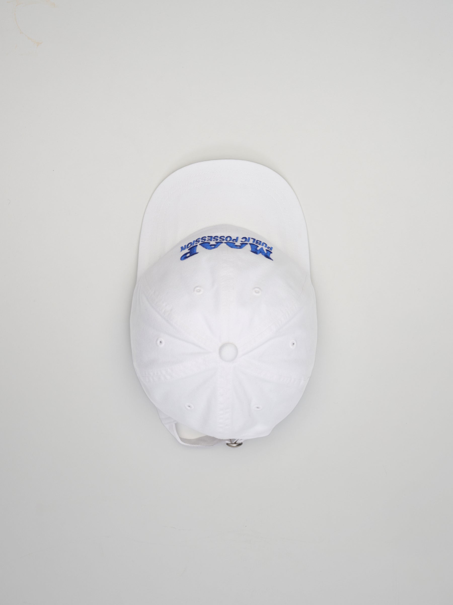 MAAP + PUBLIC POSSESSION 6 Panel Cap